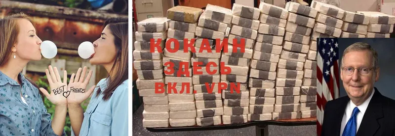 Cocaine Fish Scale  kraken маркетплейс  Ярцево 